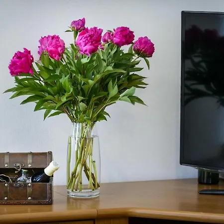 Apartament Tija Two Bedroom With Balcony And Partial Sea View